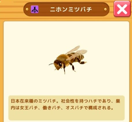 虫＆バトル ストライカーズ